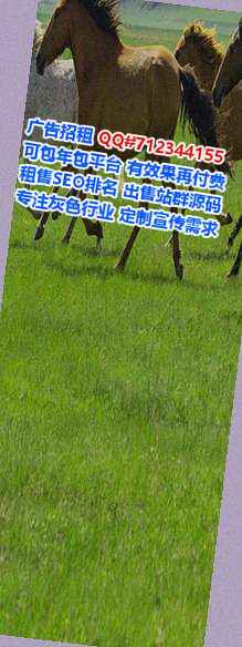 桐柏代怀投资经营部